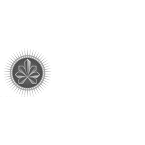 logo1